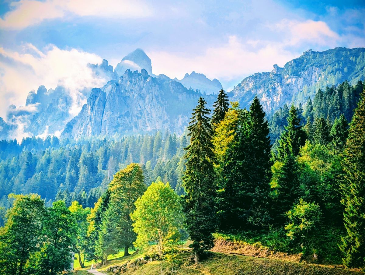 V údolí Passo Cereda