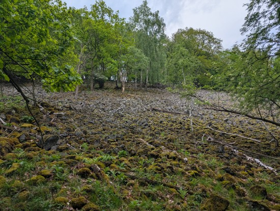 šutry